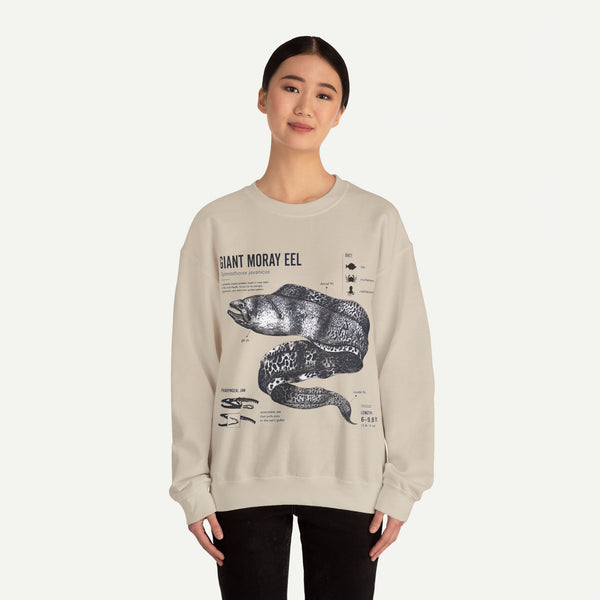 Giant Moray Eel Anatomy Sweatshirt