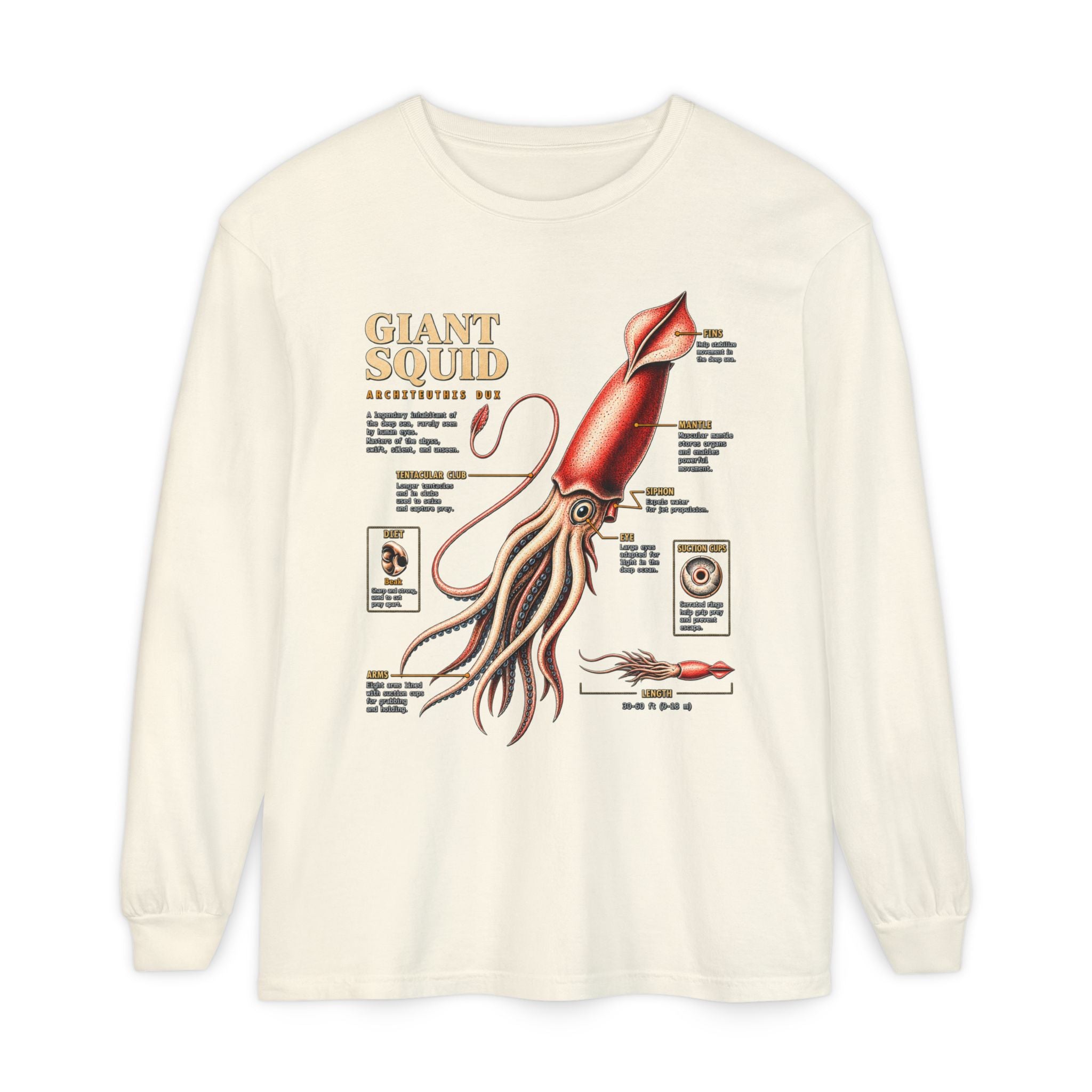 Giant Squid Anatomy Long Sleeve Tee Secondary image
