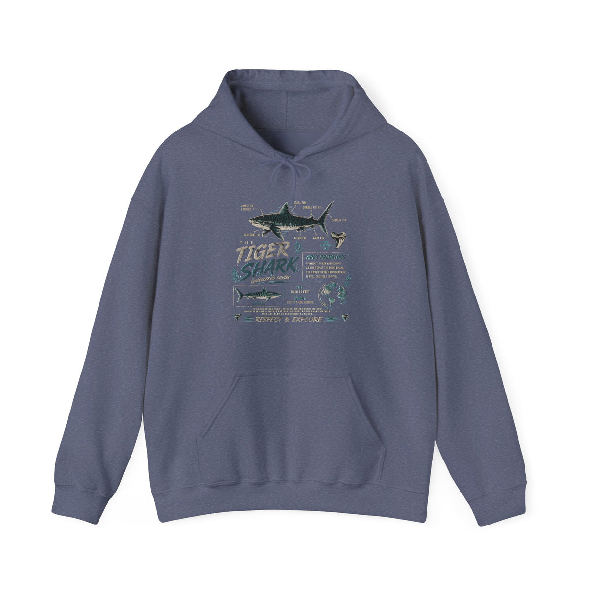 Tiger Shark Illustration Hoodie — Marine Biology Graphic Pullover (Tiger Shark Facts) Main image