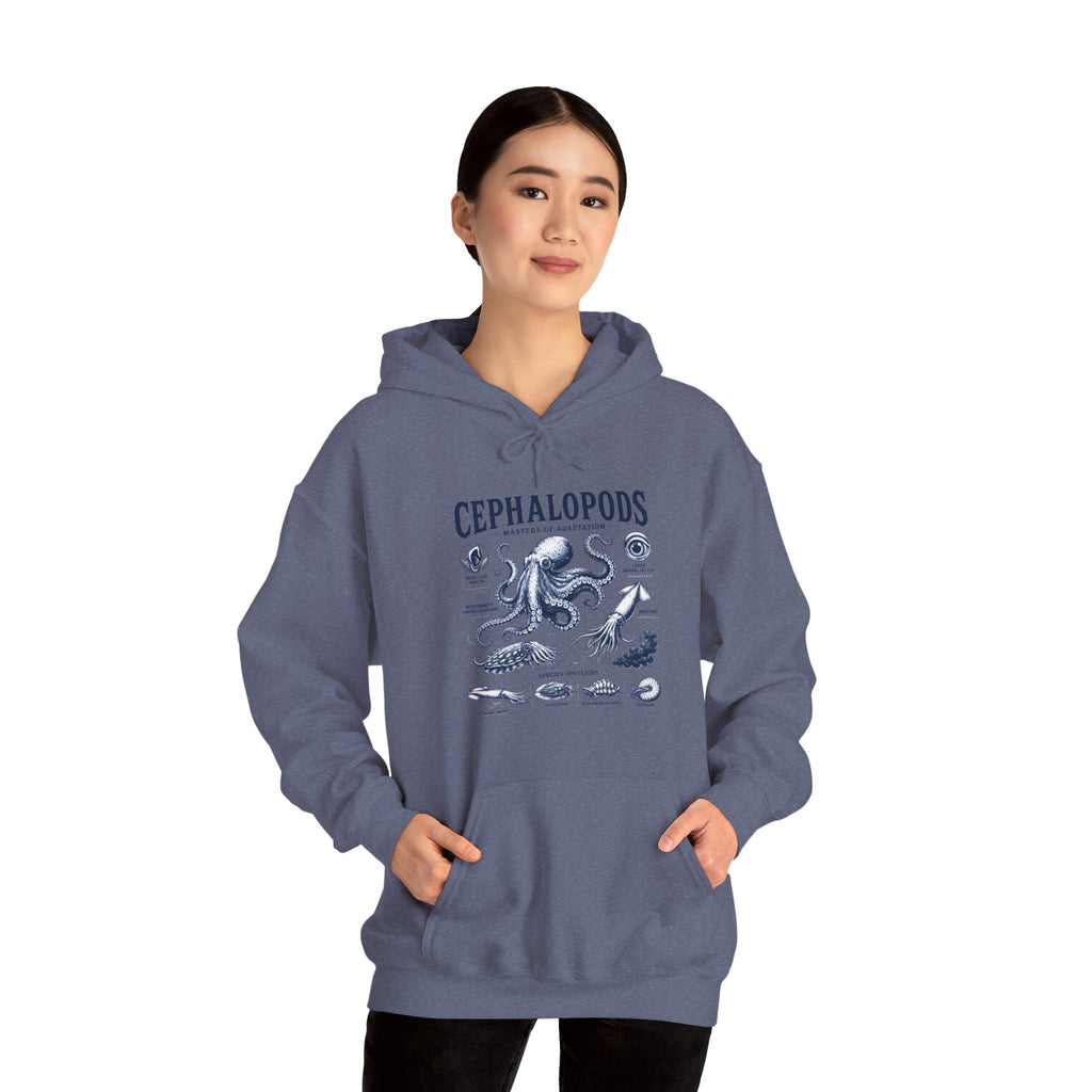 Cephalopods Hoodie — Vintage Marine Octopus Illustration Sweatshirt