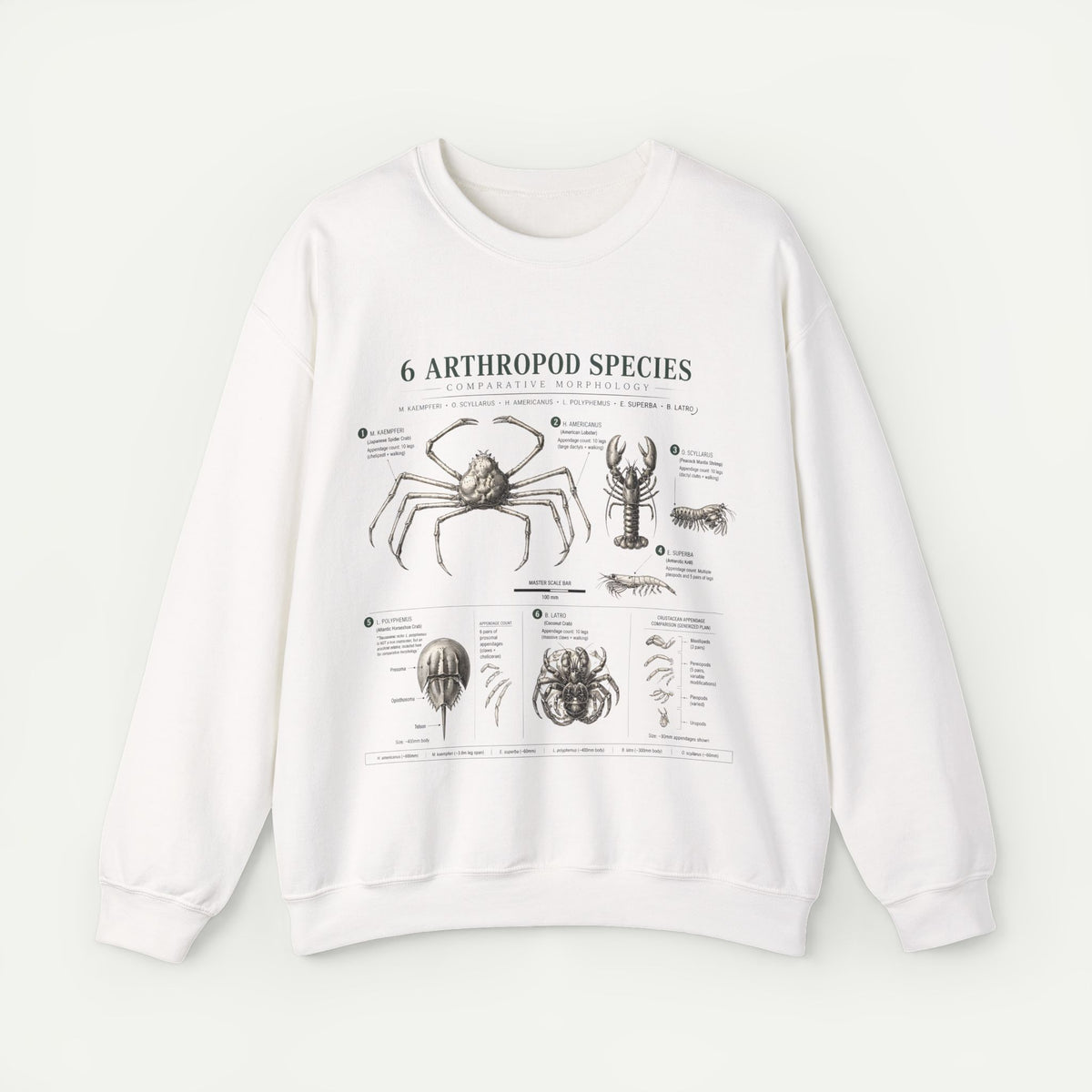 Arthropod Species Diagram Sweatshirt — Vintage Scientific Illustration Crewneck
