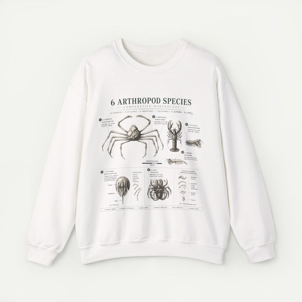 Arthropod Species Diagram Sweatshirt — Vintage Scientific Illustration Crewneck