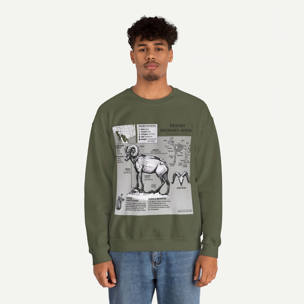 Desert Bighorn Sheep Anatomy Sweatshirt