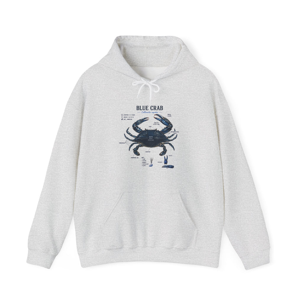 Blue Crab Anatomy Hoodie — Nautical Marine Biology Graphic Sweatshirt