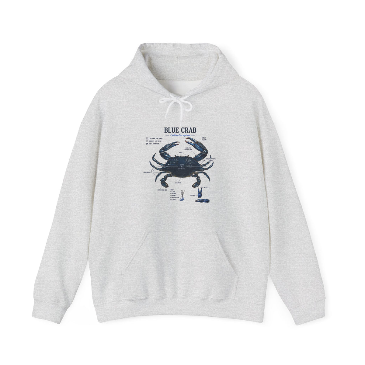 Blue Crab Anatomy Hoodie — Nautical Marine Biology Graphic Sweatshirt