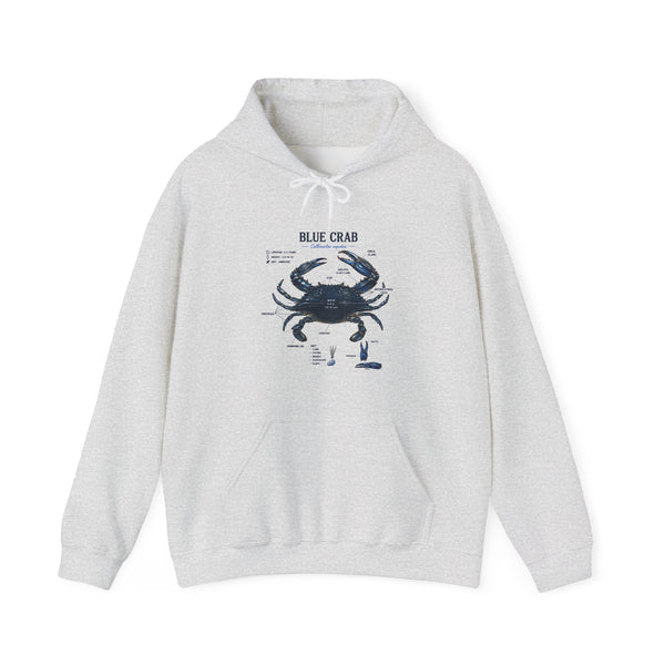 Blue Crab Anatomy Hoodie — Nautical Marine Biology Graphic Sweatshirt
