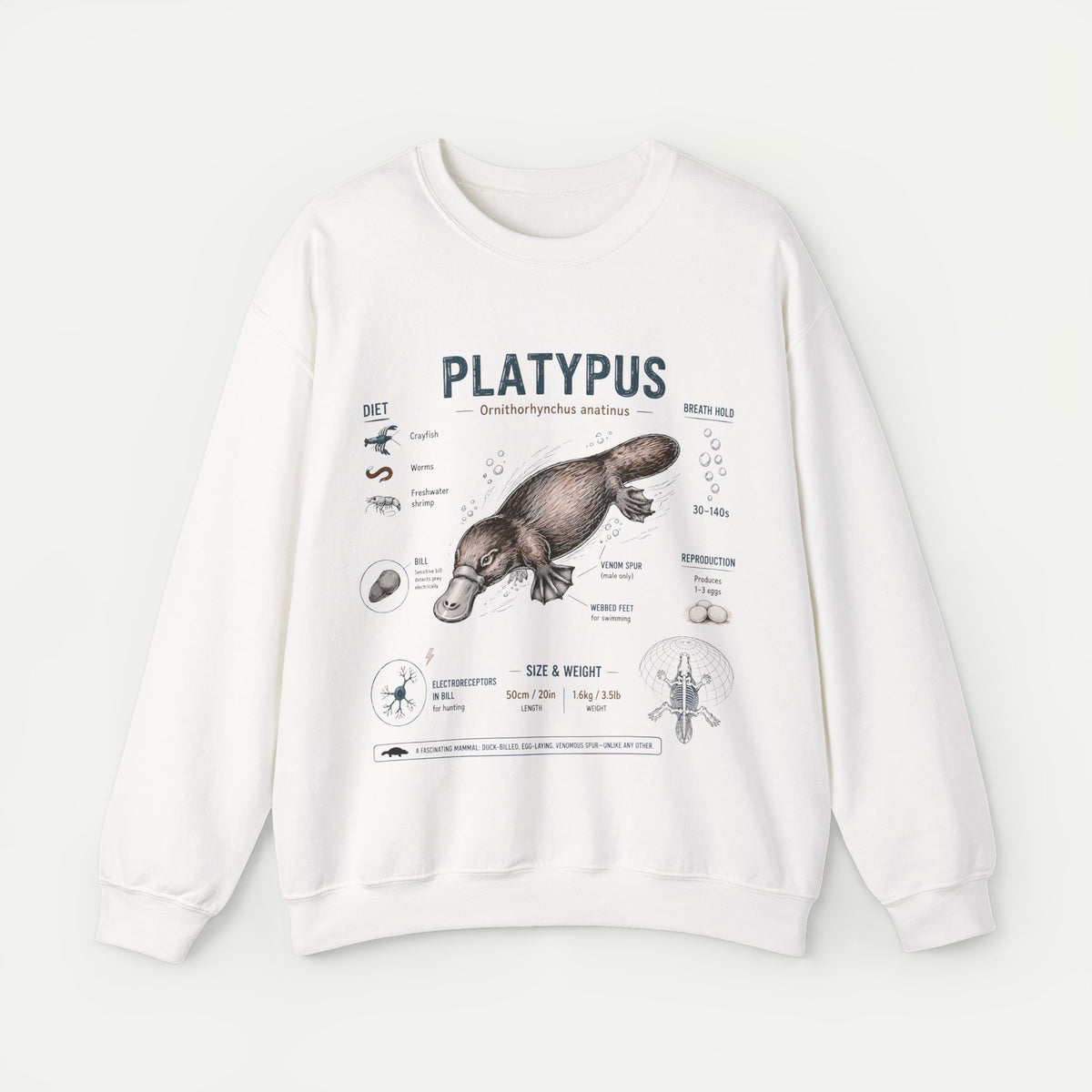 Platypus Anatomy Sweatshirt — Vintage Scientific Illustration