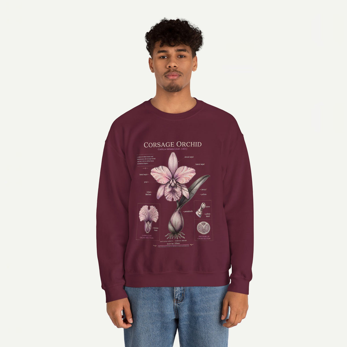Corsage Orchid Sweatshirt — Botanical Anatomy Floral Crewneck