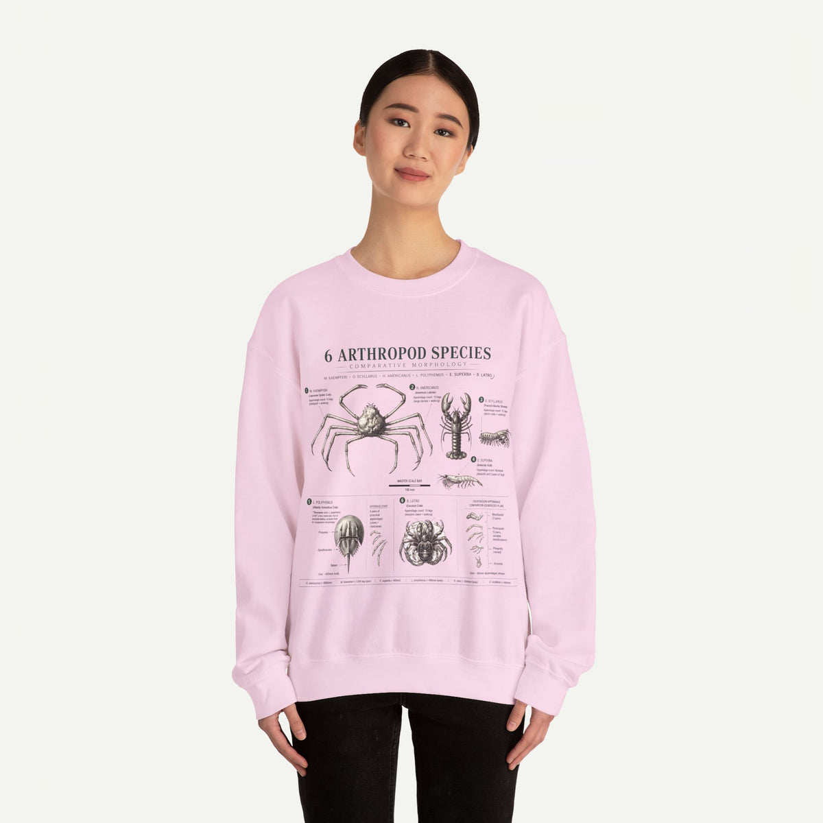 Arthropod Species Crewneck Sweatshirt — Vintage Scientific Bug Anatomy Pullover