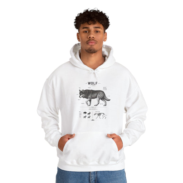 Wolf Anatomy Hoodie – Vintage Wildlife Diagram Sweatshirt