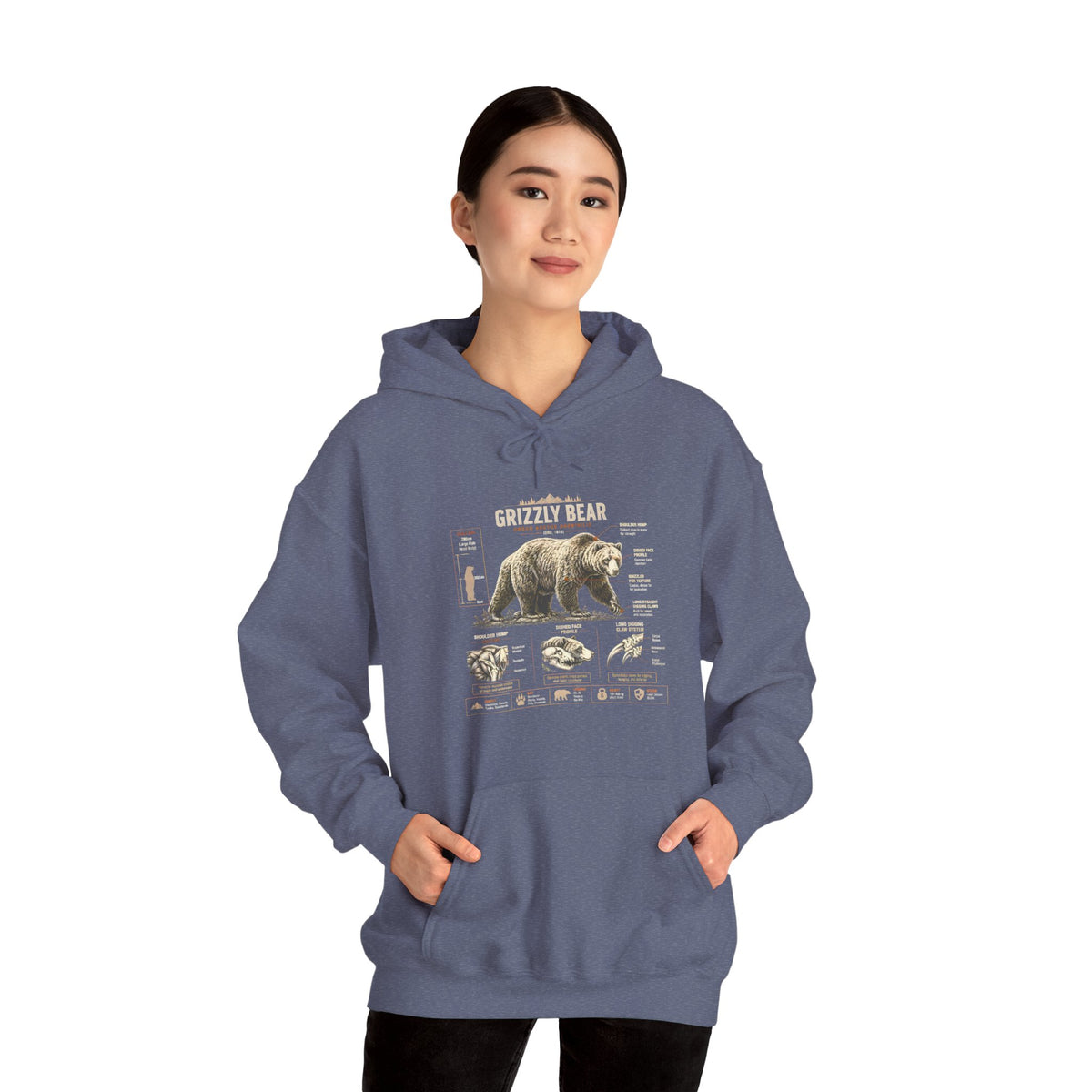 Hoodie — Vintage Bear Anatomy Graphic Hoodie