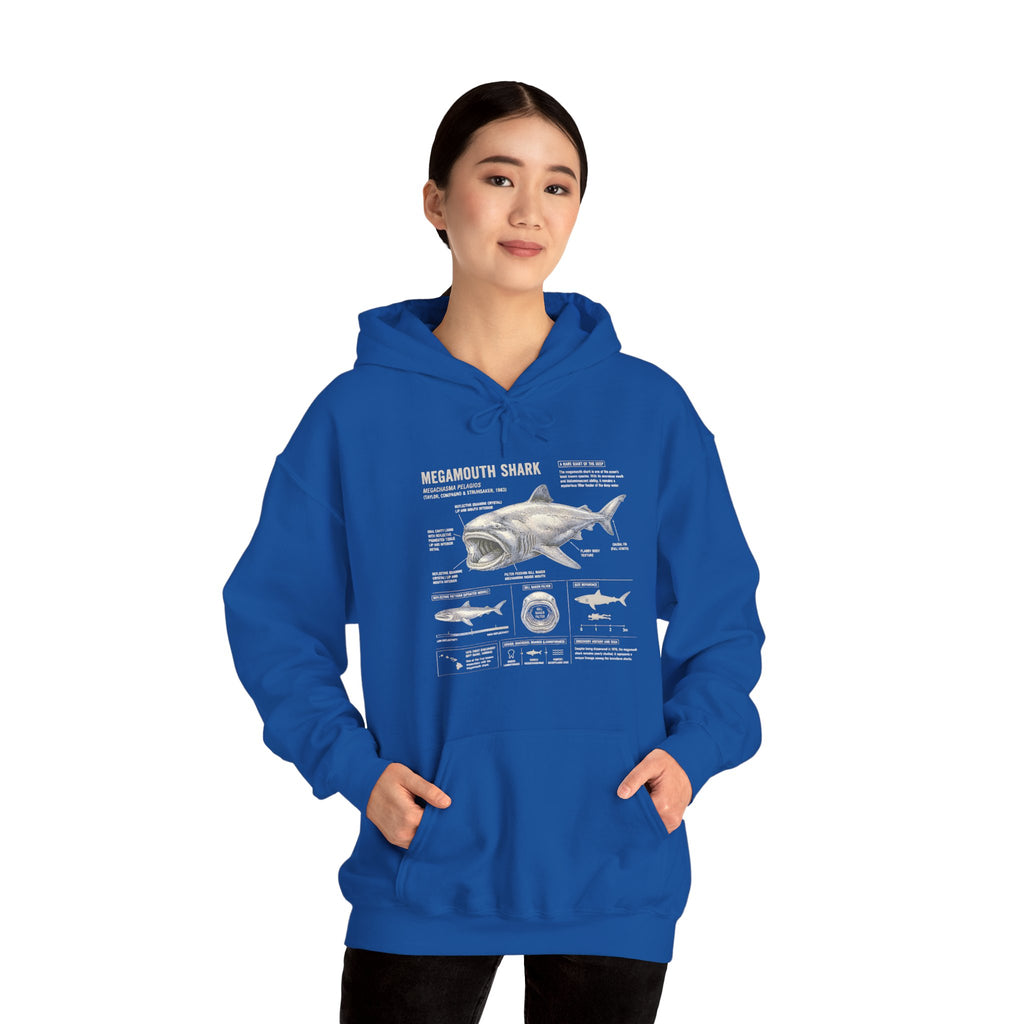 Shark Anatomy Hoodie — Vintage Megalodon Illustration Pullover