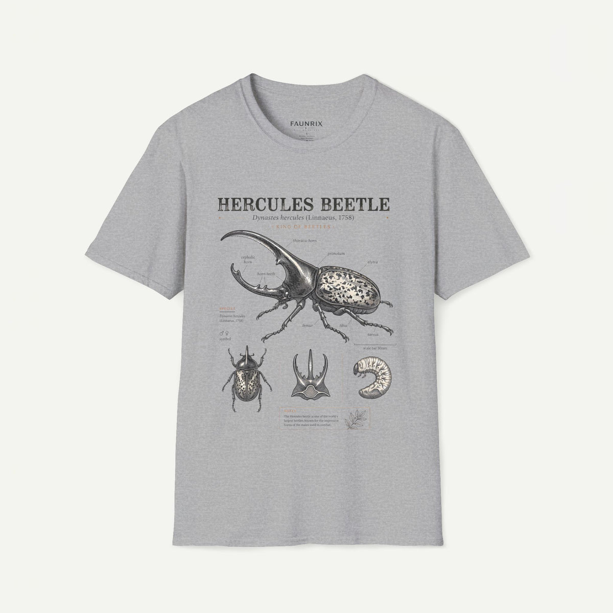 Hercules Beetle Anatomy T-Shirt — Vintage Entomology Graphic Tee