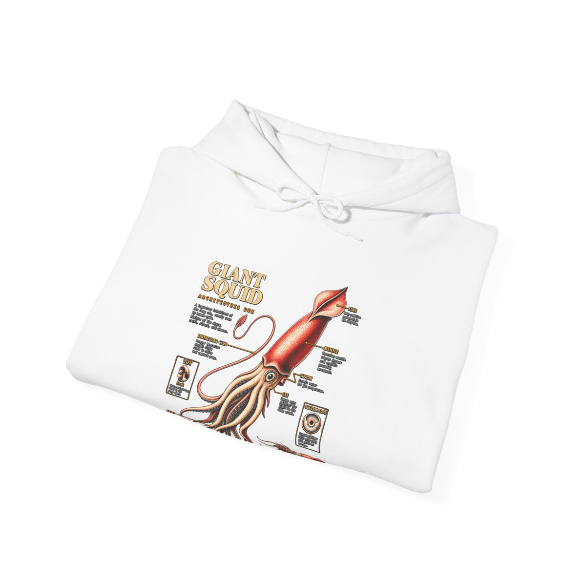 Squid Anatomy Hoodie — Vintage Scientific Illustration Pullover