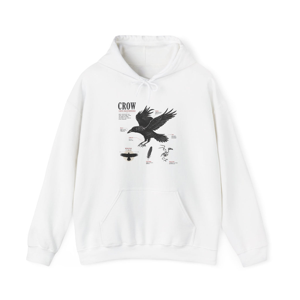 Crow Anatomy Hoodie — Vintage Raven Diagram Hooded Sweatshirt
