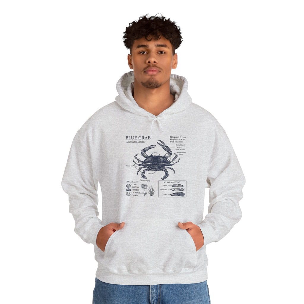 Blue Crab Anatomy Hoodie – Nautical Marine Biology Graphic Sweatshirt