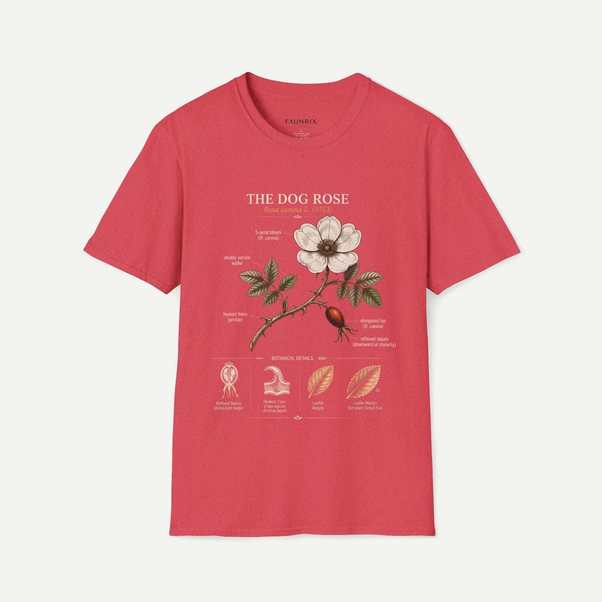 Dog Rose Floral T-Shirt — Botanical Illustration Tee with 'The Dog Rose' Label