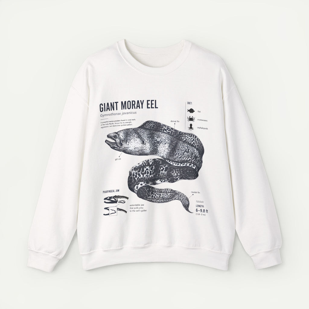 Giant Moray Eel Anatomy Sweatshirt