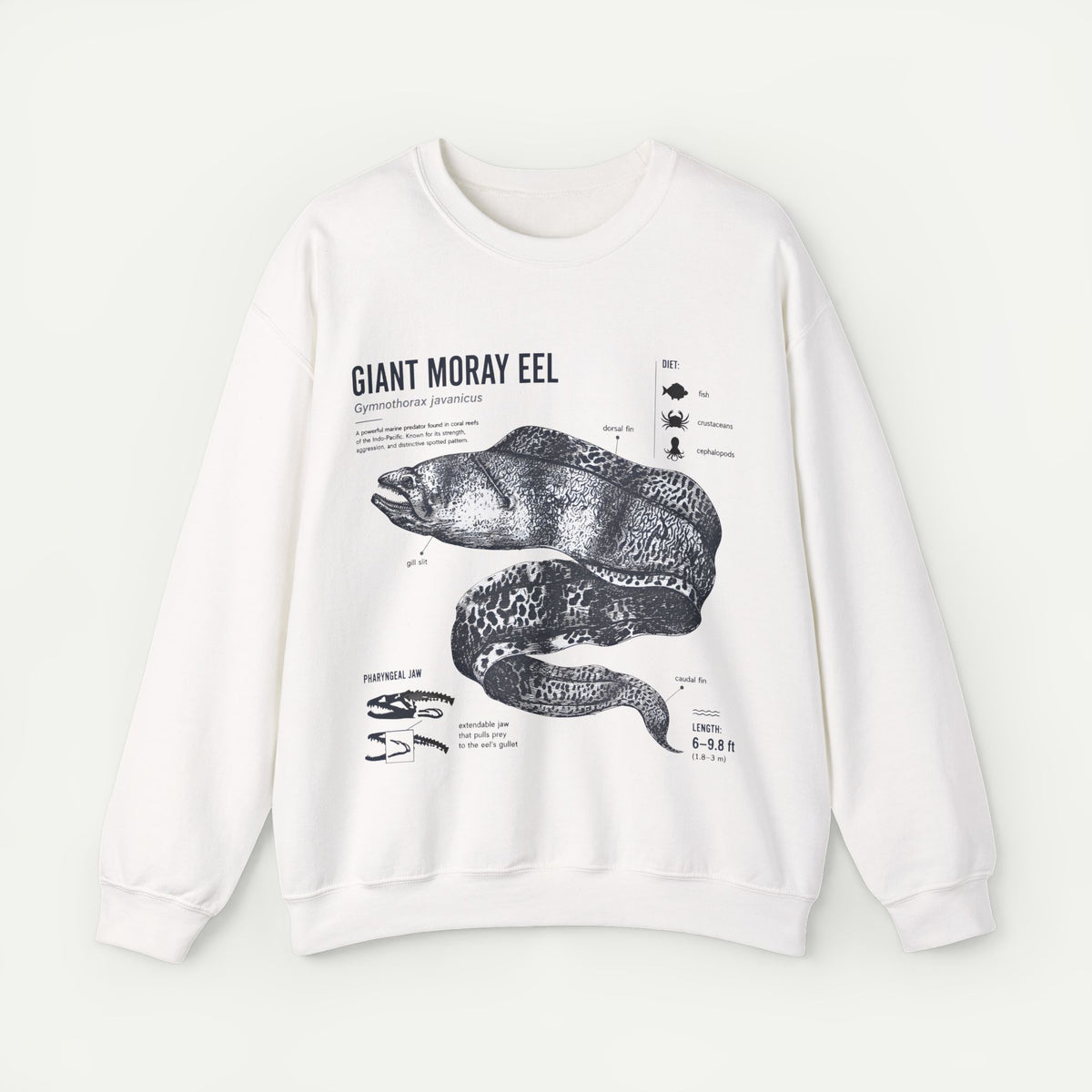 Giant Moray Eel Anatomy Sweatshirt