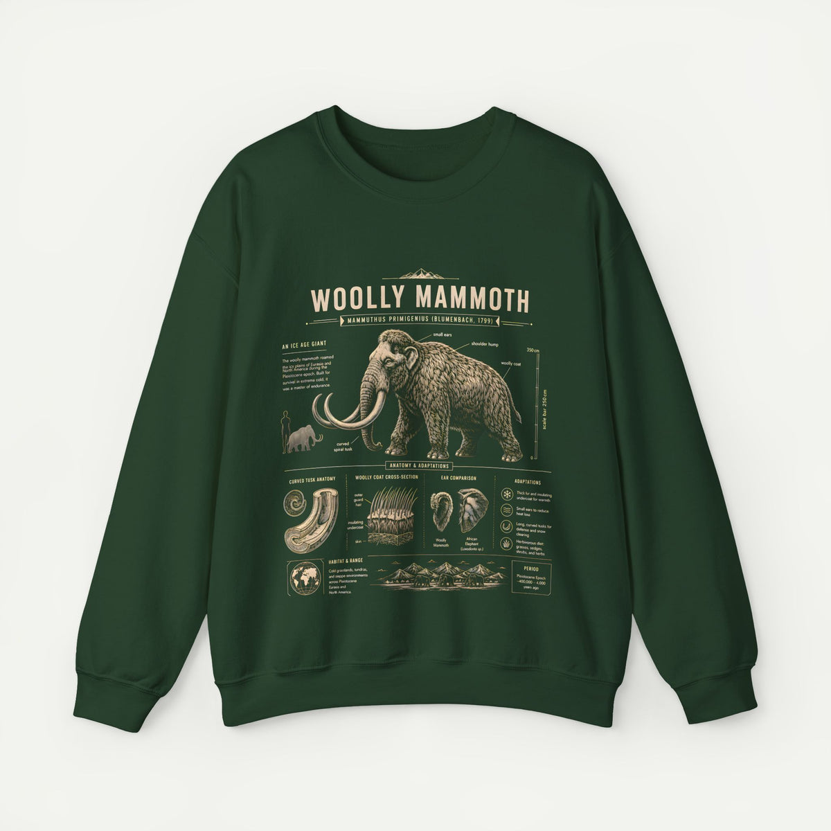 Woolly Mammoth Anatomy Sweatshirt — Vintage Natural History Crewneck