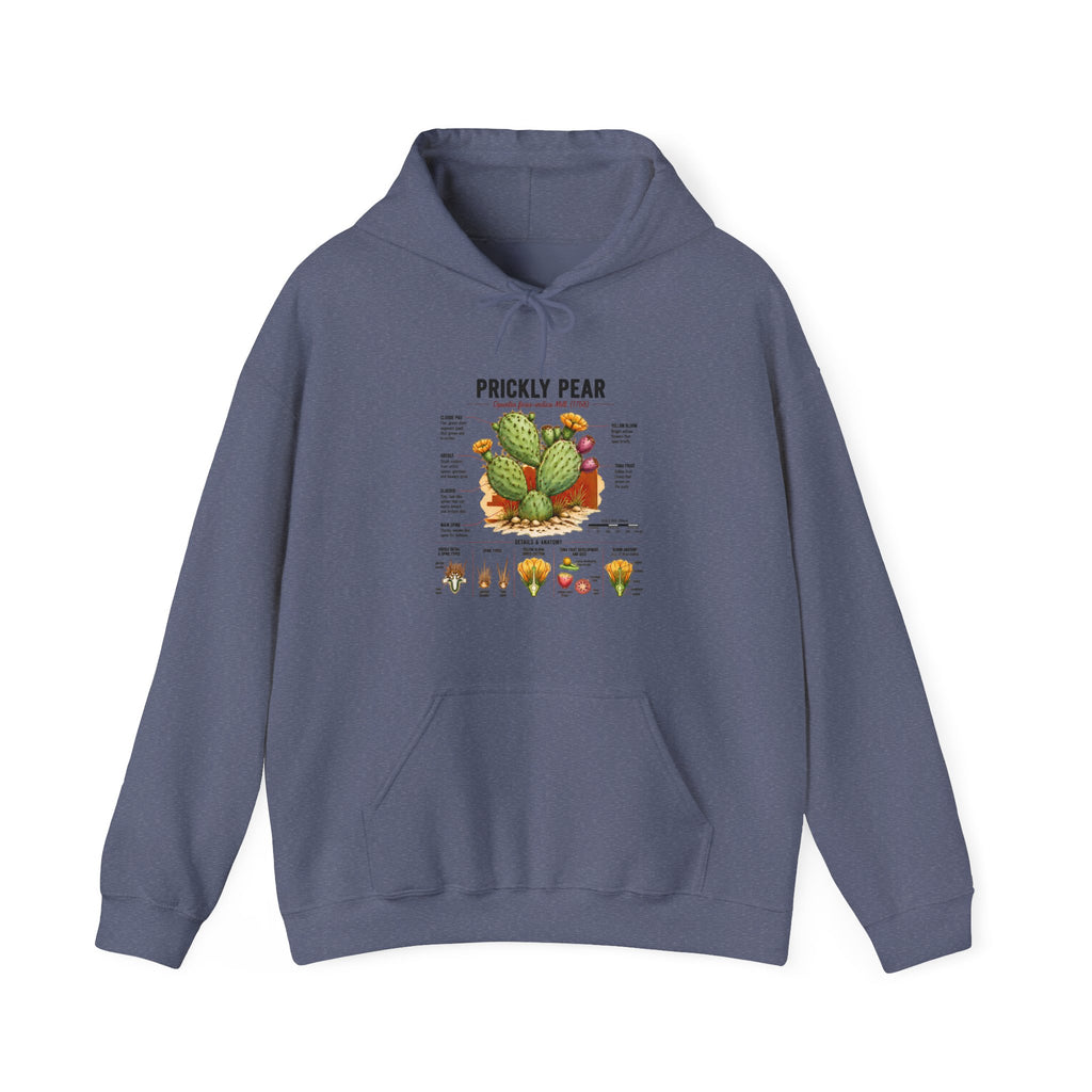 Prickly Pear Botanical Hoodie – Cactus Anatomy Illustrated Sweatshirt