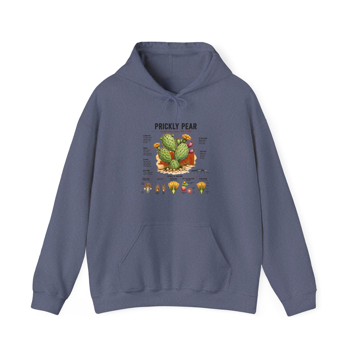 Prickly Pear Botanical Hoodie – Cactus Anatomy Illustrated Sweatshirt