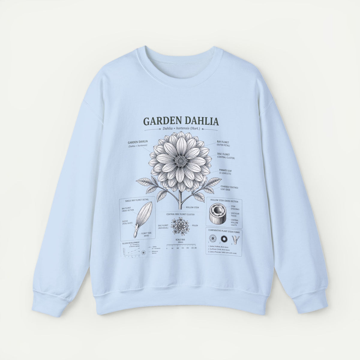 Dahlia Botanical Sweatshirt — Garden Dahlia Floral Diagram Crewneck