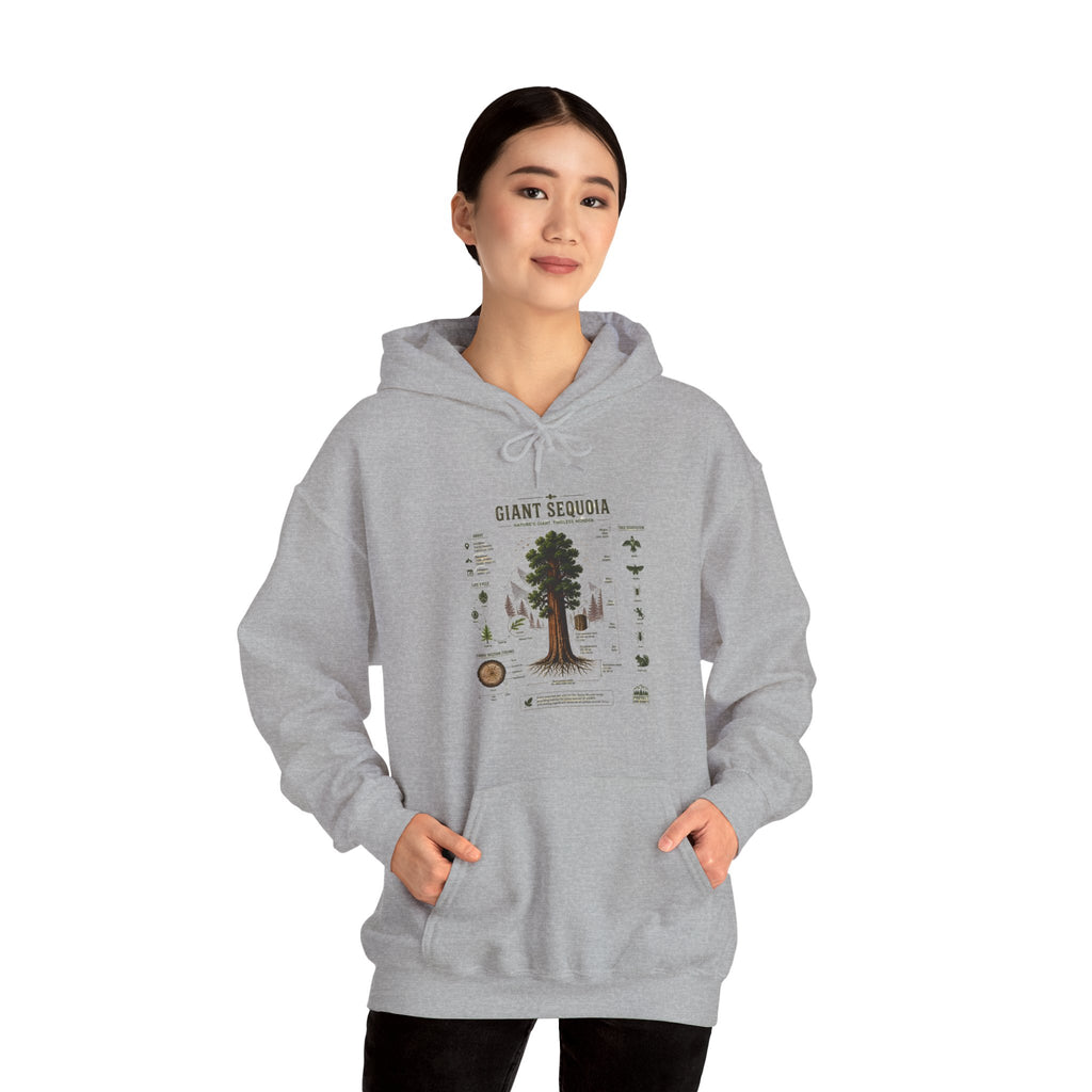 Giant Sequoia Botanical Hoodie — Vintage Tree Illustration & Facts