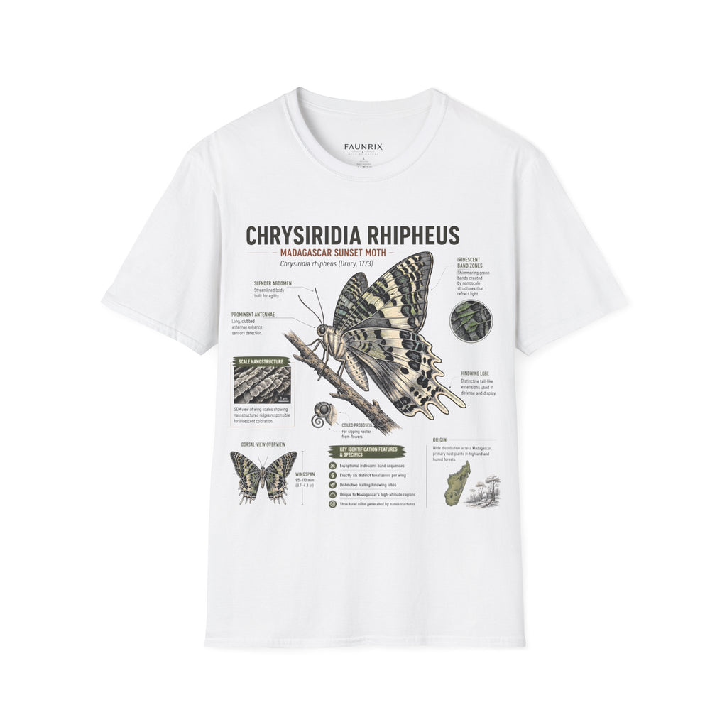 Moth Anatomy Tee — Chrysiridia Rhipheus Madagascar Sunset Moth Scientific Print
