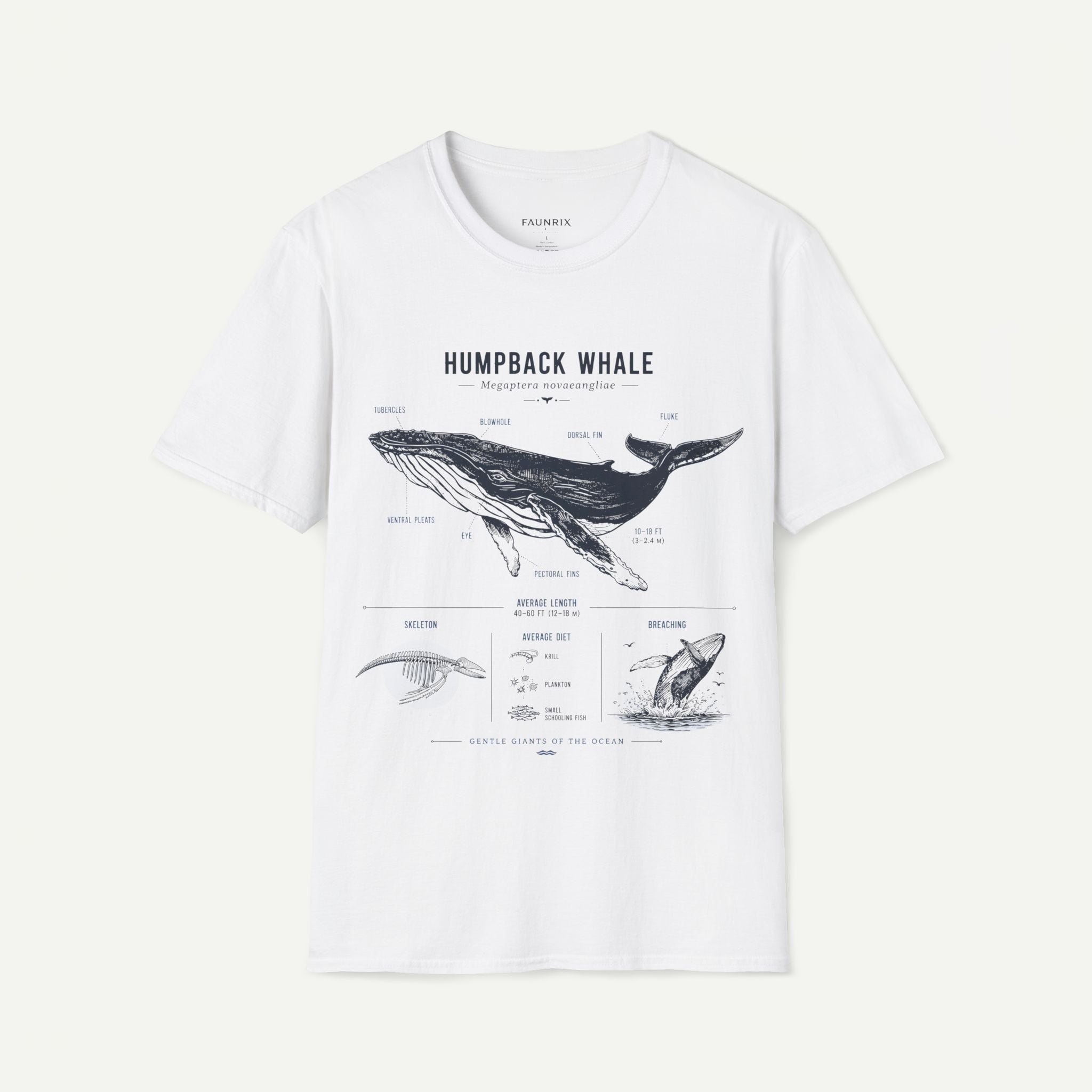 Humpback Whale Anatomy T-Shirt Secondary image