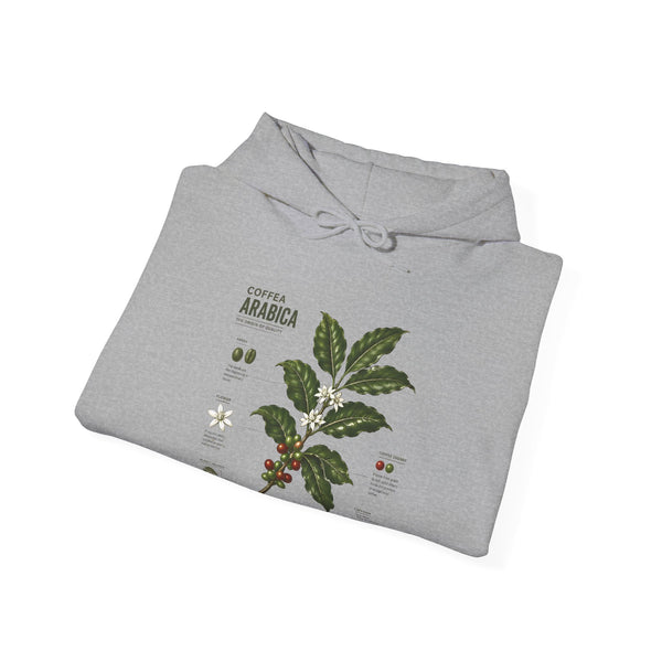 Coffee Plant Hoodie — Coffea Arabica Botanical Illustration Sweatshirt