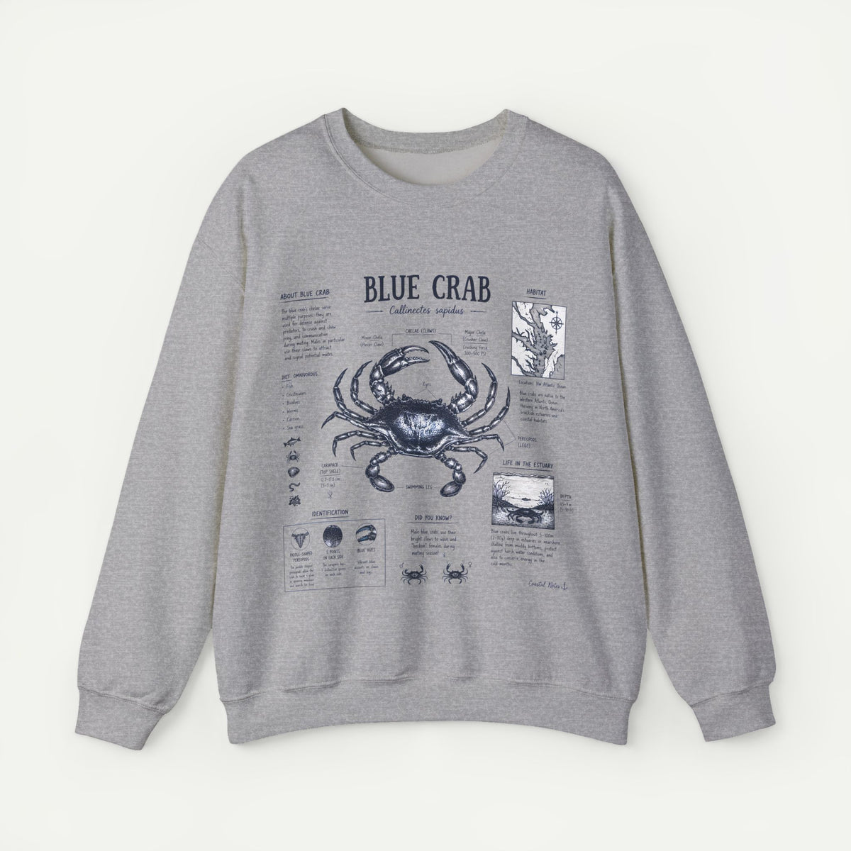 Blue Crab Anatomy Sweatshirt