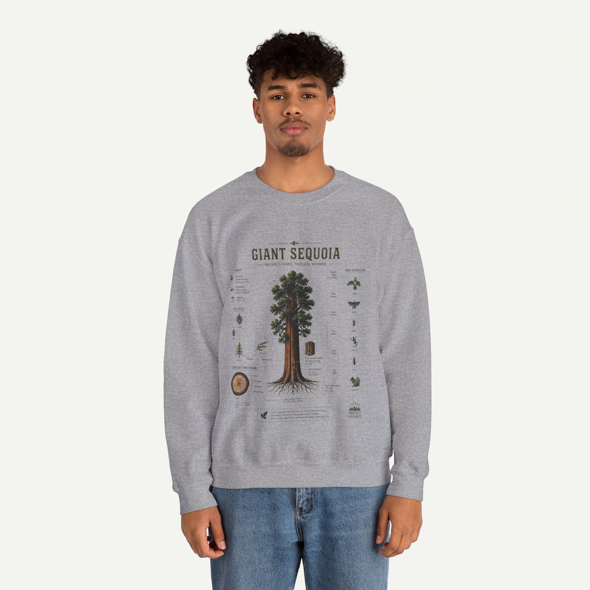 Giant Sequoia Botanical Sweatshirt