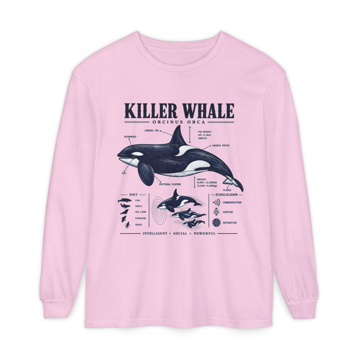 Killer Whale Anatomy Long Sleeve Tee