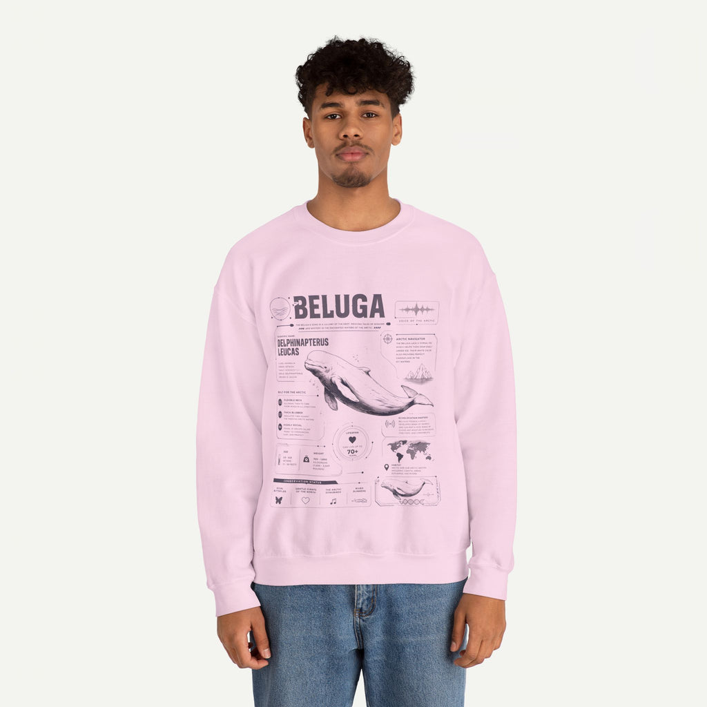Beluga Whale Anatomy Sweatshirt
