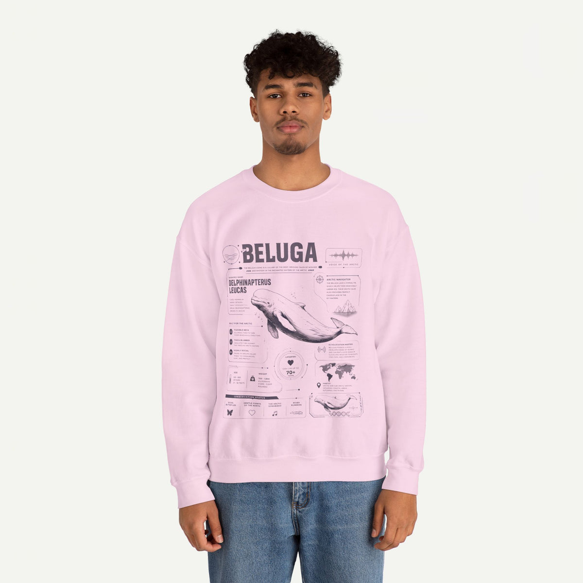 Beluga Whale Anatomy Sweatshirt