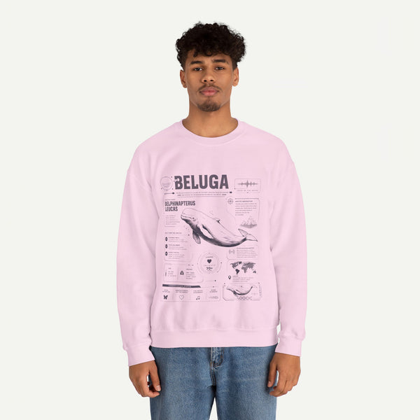 Beluga Whale Anatomy Sweatshirt