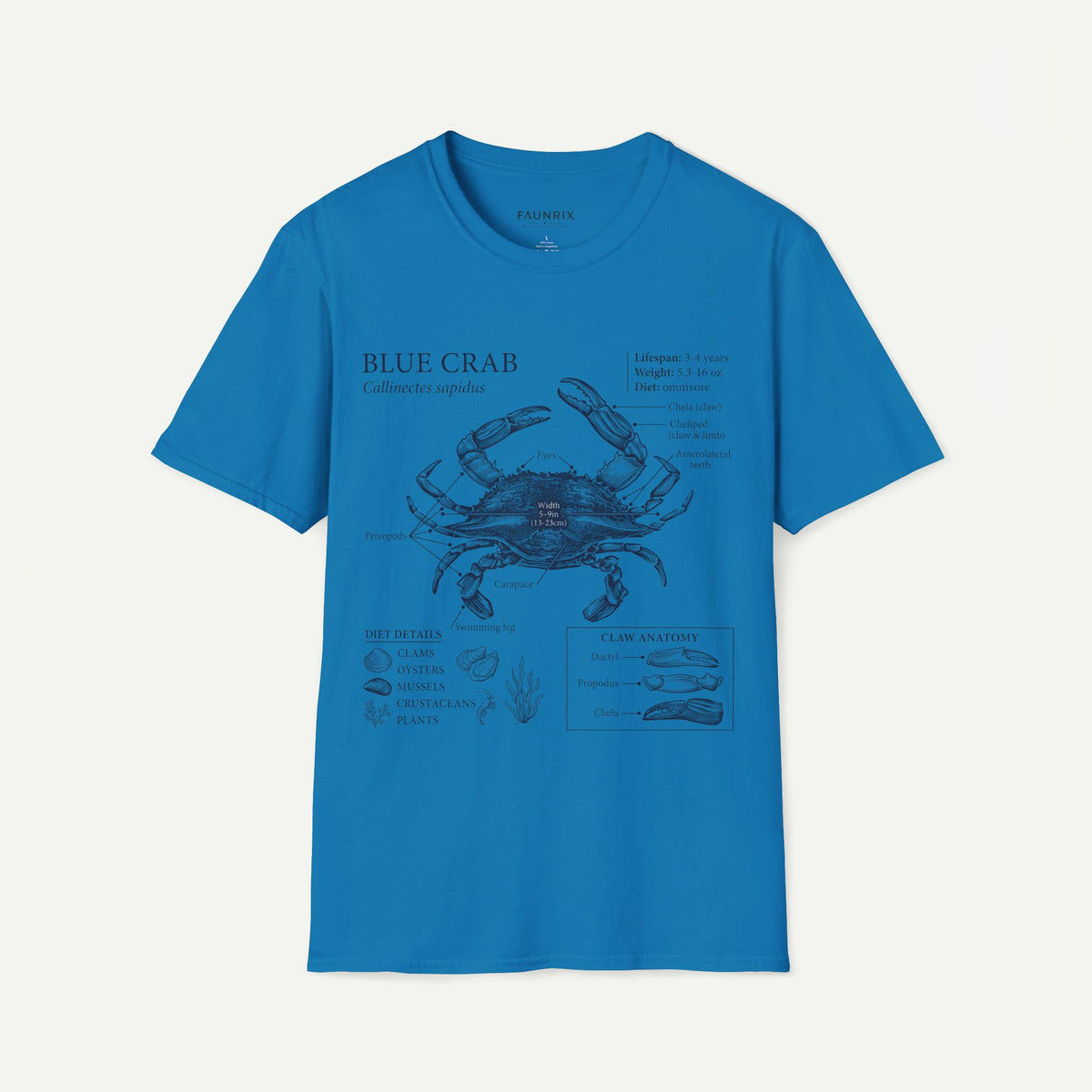 Crab Anatomy T-Shirt — Vintage Blue Crab Illustration Tee