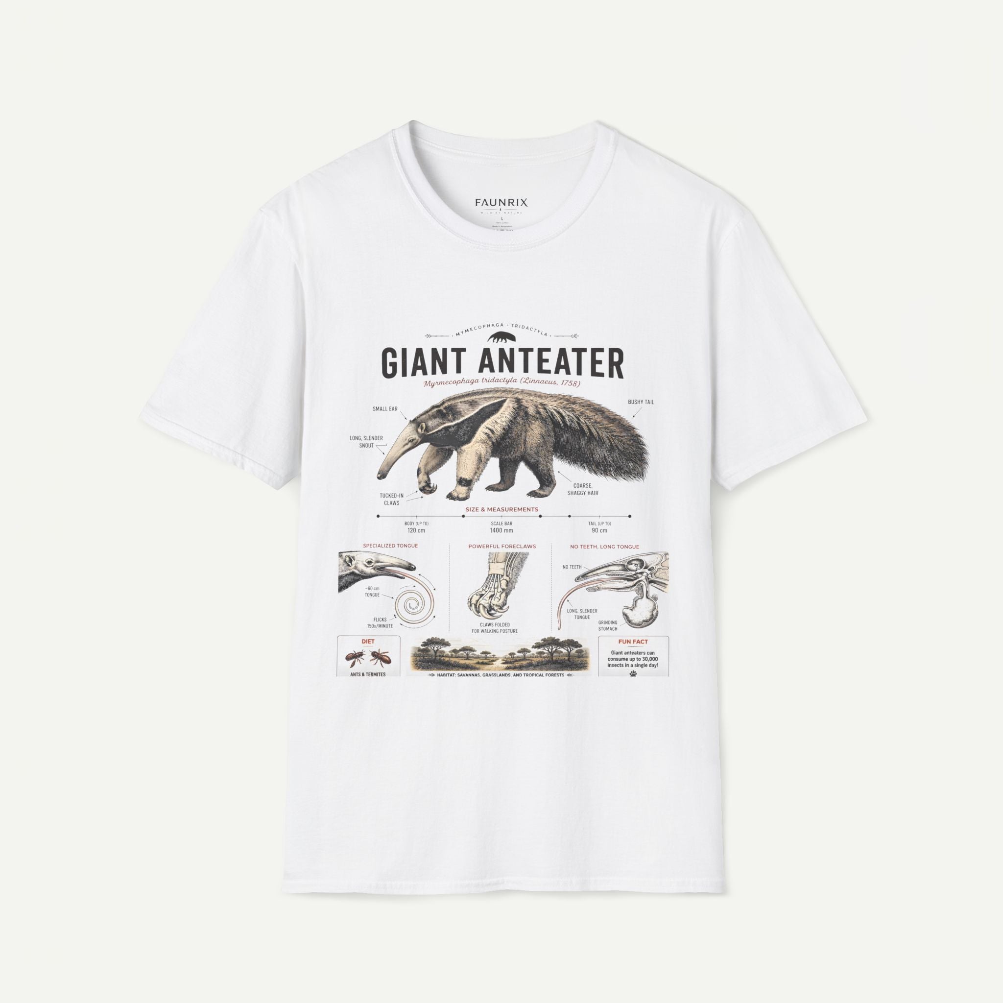 Giant Anteater Anatomy Tee — Vintage Natural History Animal Graphic T-Shirt Secondary image