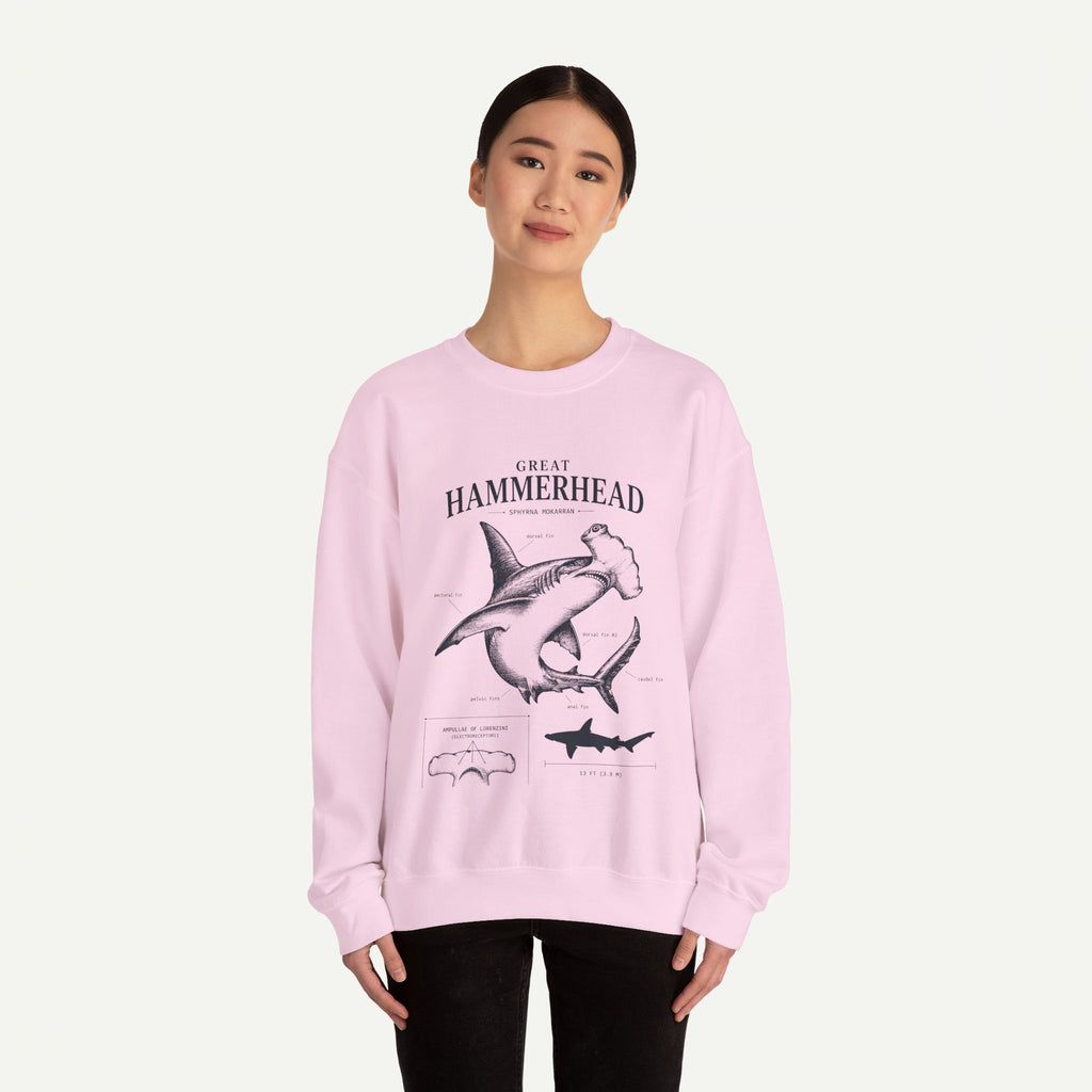 Hammerhead Shark Sweatshirt – Great Hammerhead Illustration