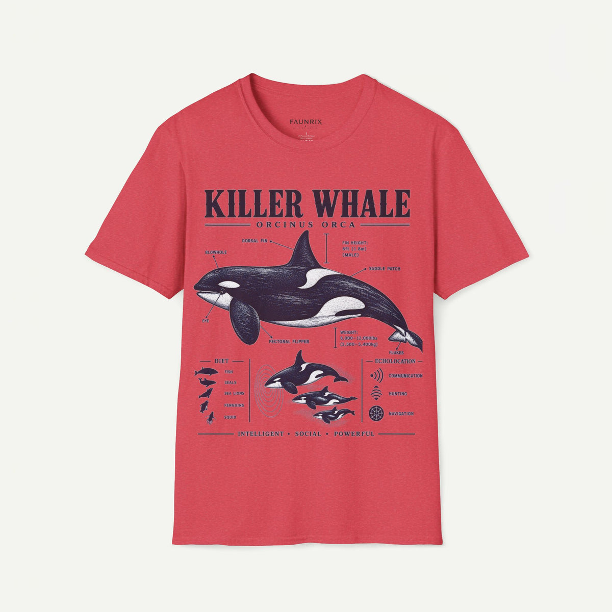Killer Whale Diagram T-Shirt — Orcinus Orca Marine Life Graphic Tee