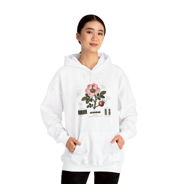 Vintage Botanical Hoodie — Rose Diagram Print