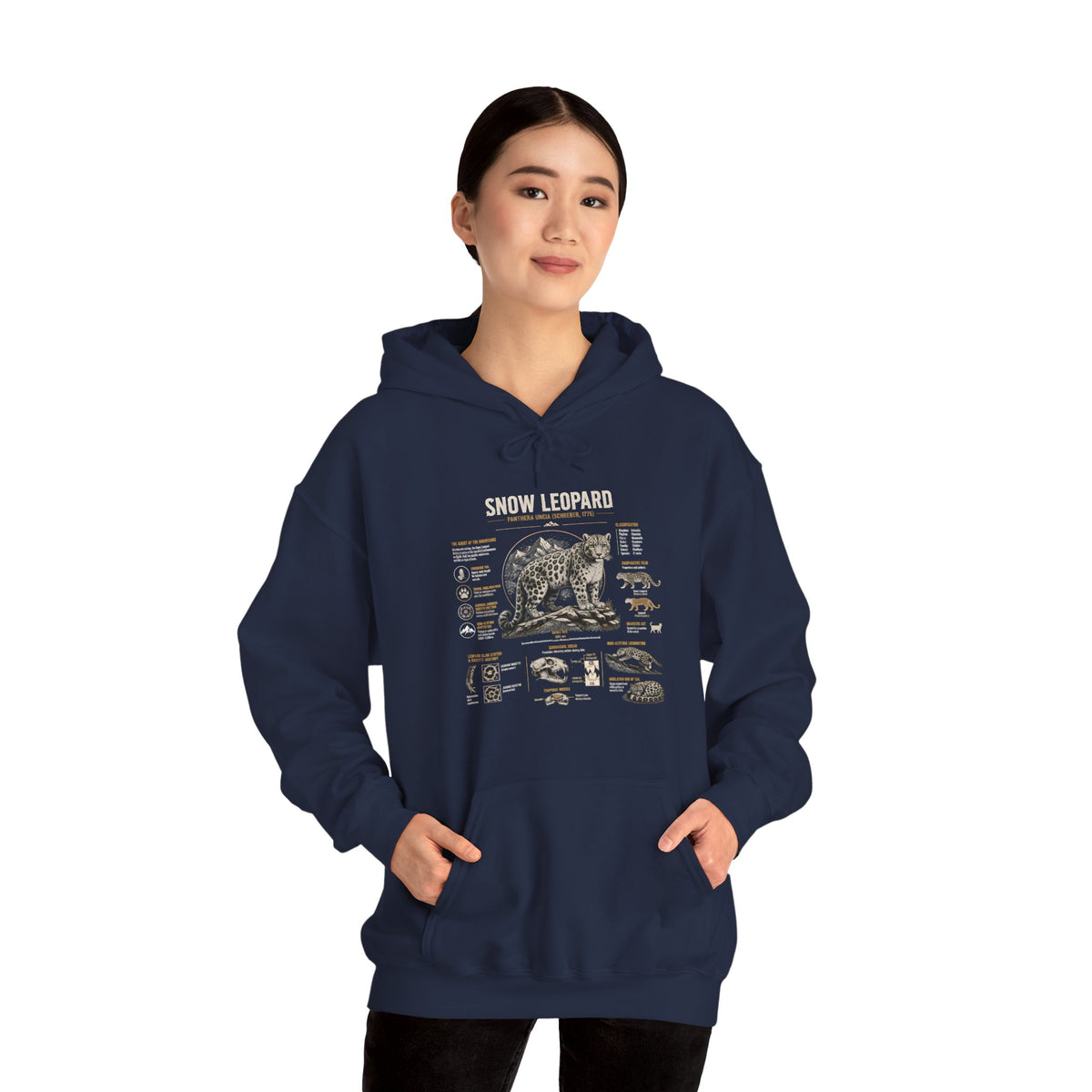 Bear Anatomy Hoodie — Vintage Wildlife Illustration Sweatshirt