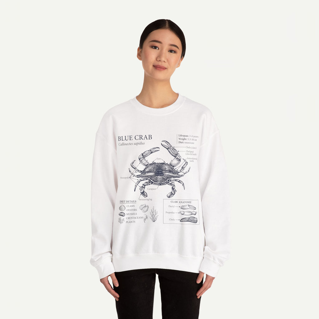 Blue Crab Anatomy Crewneck Sweatshirt – Marine Biology Graphic Pullover