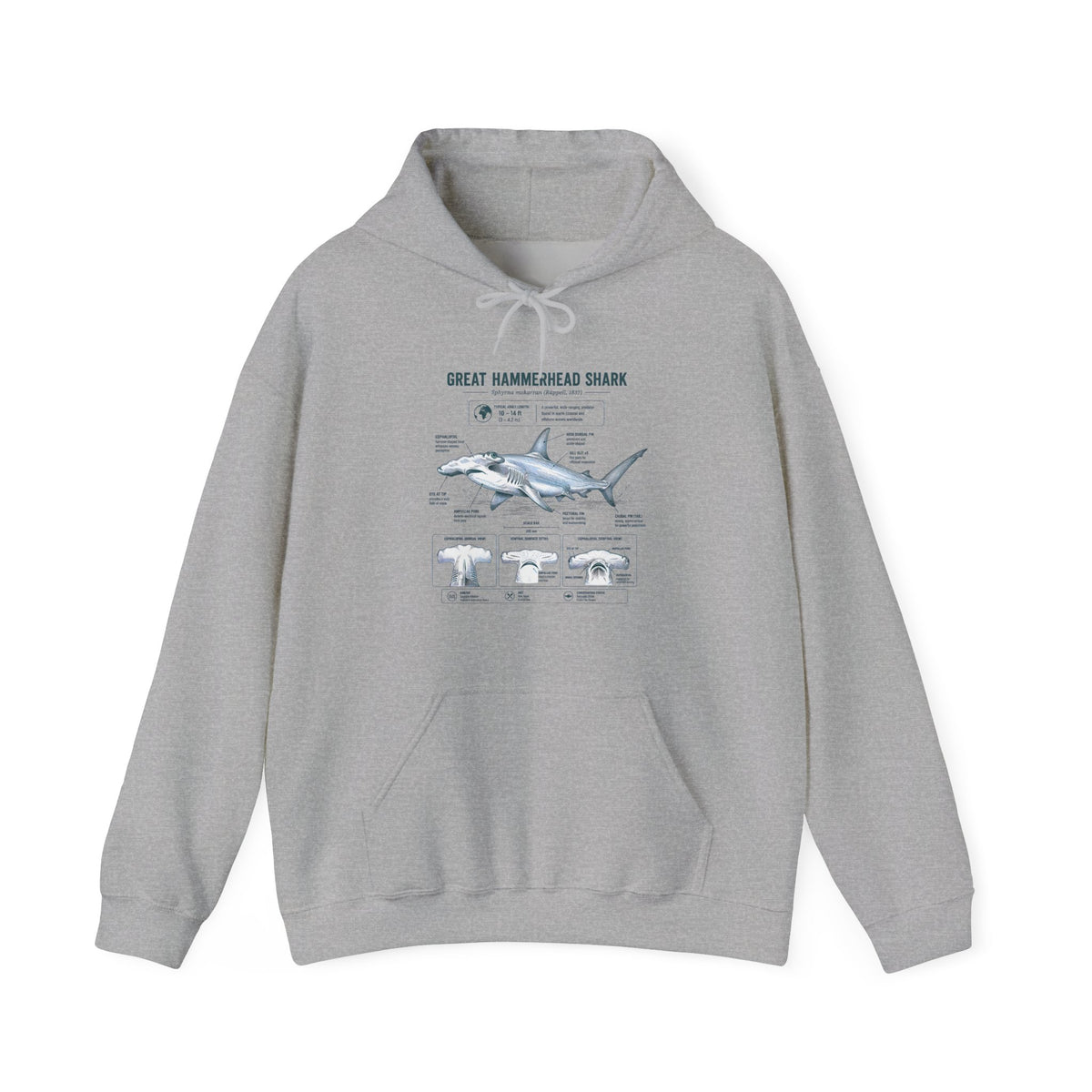 Shark Anatomy Hoodie — Great Hammerhead Shark Diagram Sweatshirt