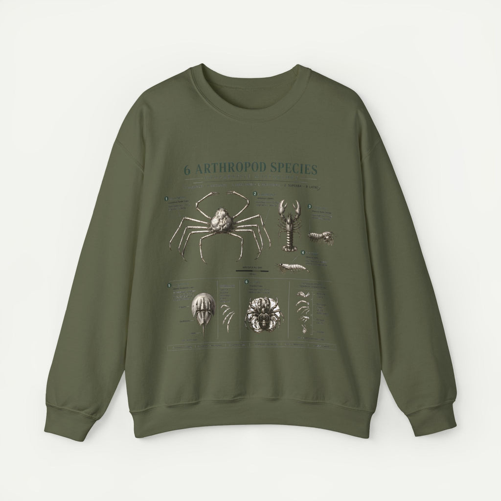 Arthropod Species Diagram Sweatshirt — Vintage Scientific Illustration Crewneck