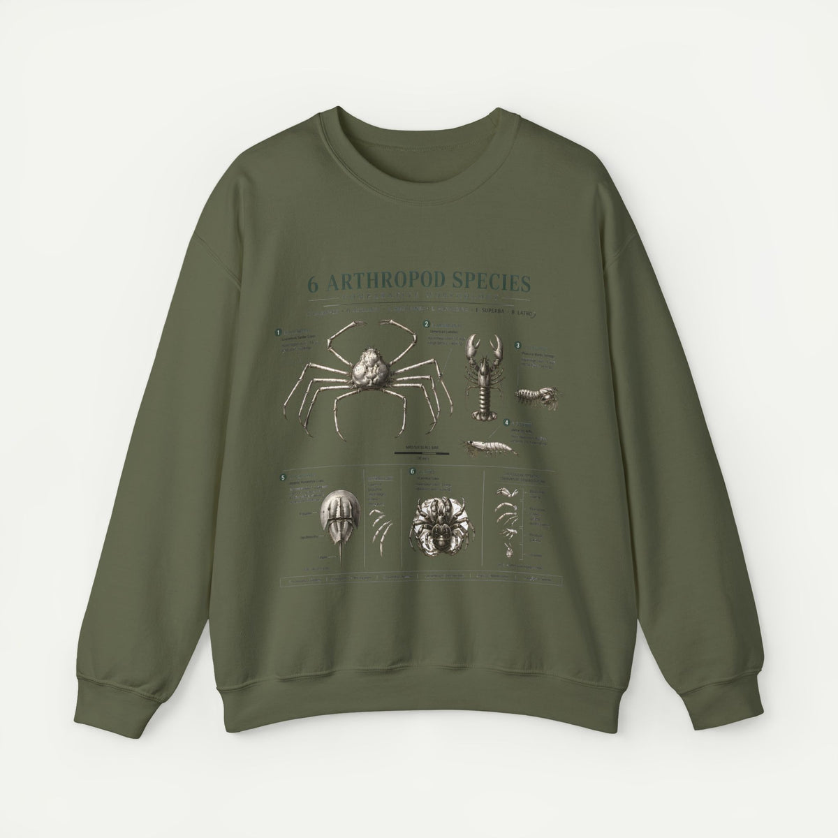 Arthropod Species Diagram Sweatshirt — Vintage Scientific Illustration Crewneck