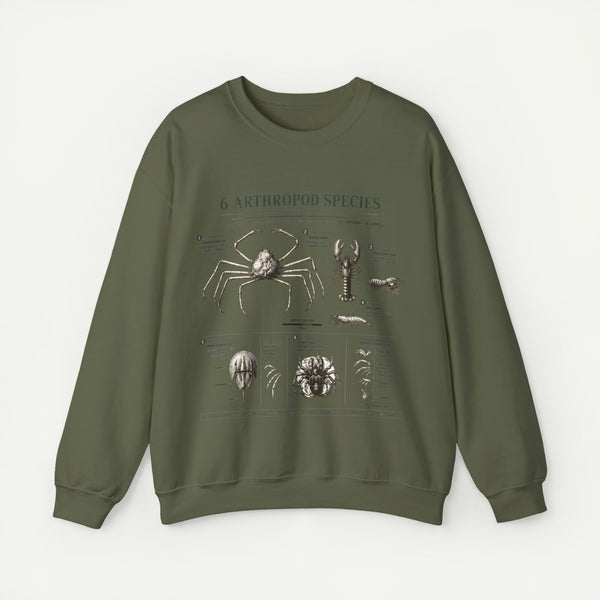 Arthropod Species Diagram Sweatshirt — Vintage Scientific Illustration Crewneck
