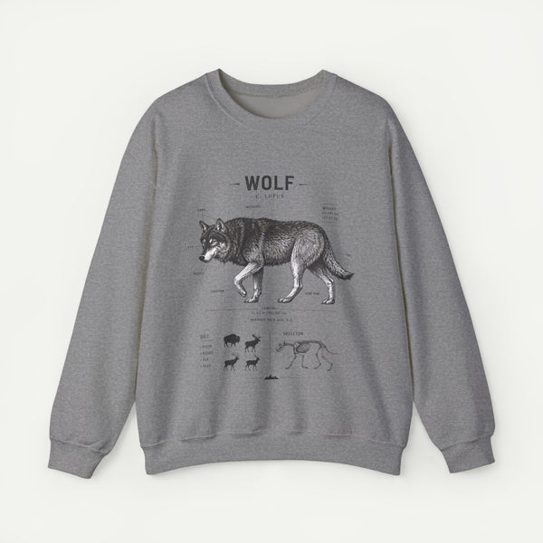 Wolf Anatomy Crewneck Sweatshirt