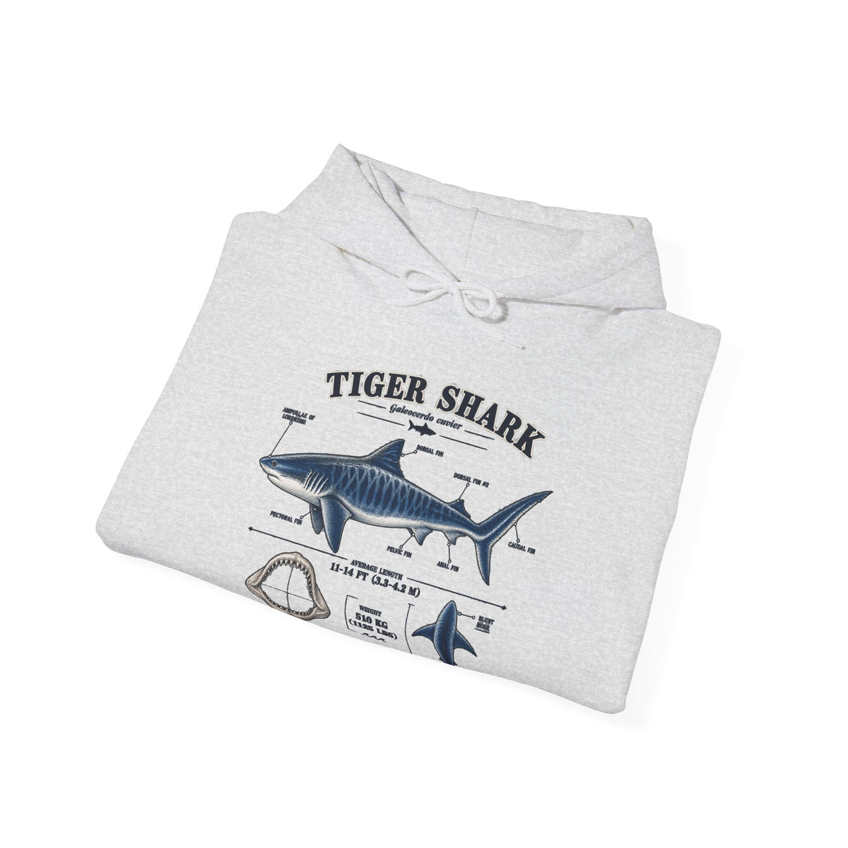 Tiger Shark Anatomy Hoodie — Nautical Science Graphic Pullover